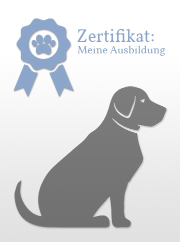 Zertifikat