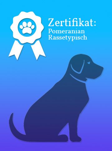 Zertifikat