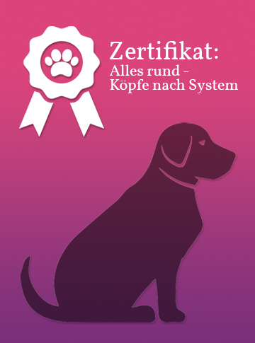 Zertifikat